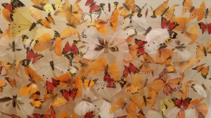 ButterfliesinFlightNottinghillyummymummy