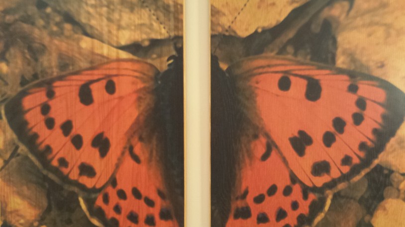 Butterflyinflightnottinghillyummymummy