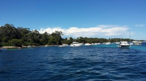 20140711_154551_resized