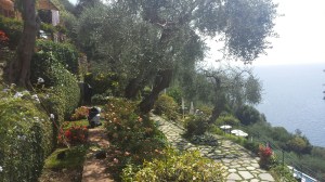 TheGardensSplendidoNHYM