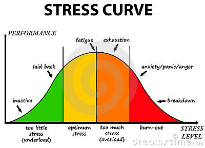 stress-curve-19168698