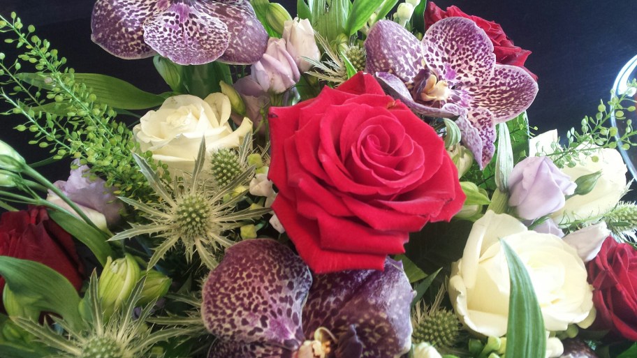 AppleyardRedRoseNHYM