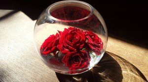 RedrosesAppleyardNHYM