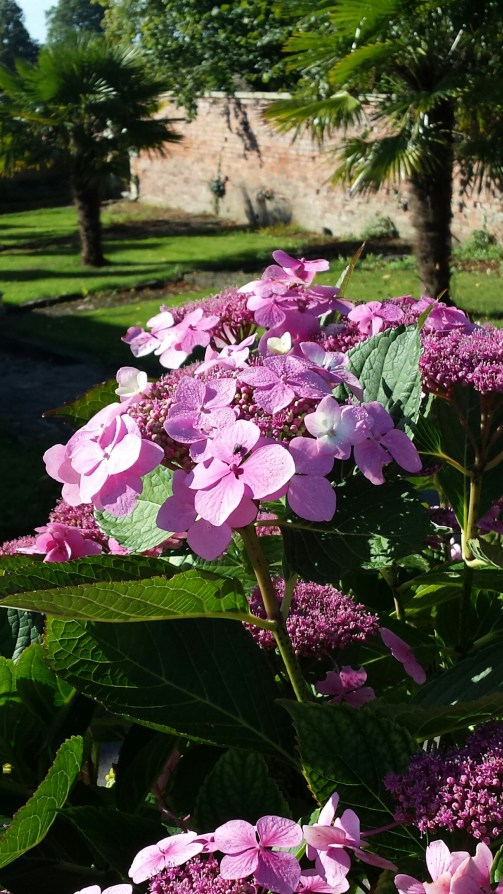 WoolleyGrangeFlowersNHYM