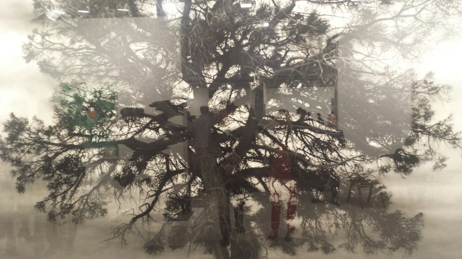 CharcoalTreeDrawingFrieze2015NHYM