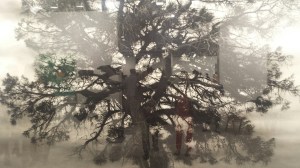 CharcoalTreeDrawingFrieze2015NHYM