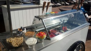 Ice-CreamTruckHotelArtsNHYM