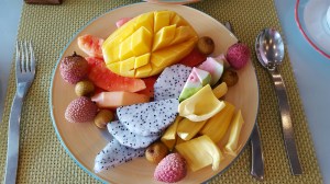 FrutarianParadiseNiyamaNHYM