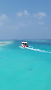 KidsClubDolphinCruiseNIYAMANHYM