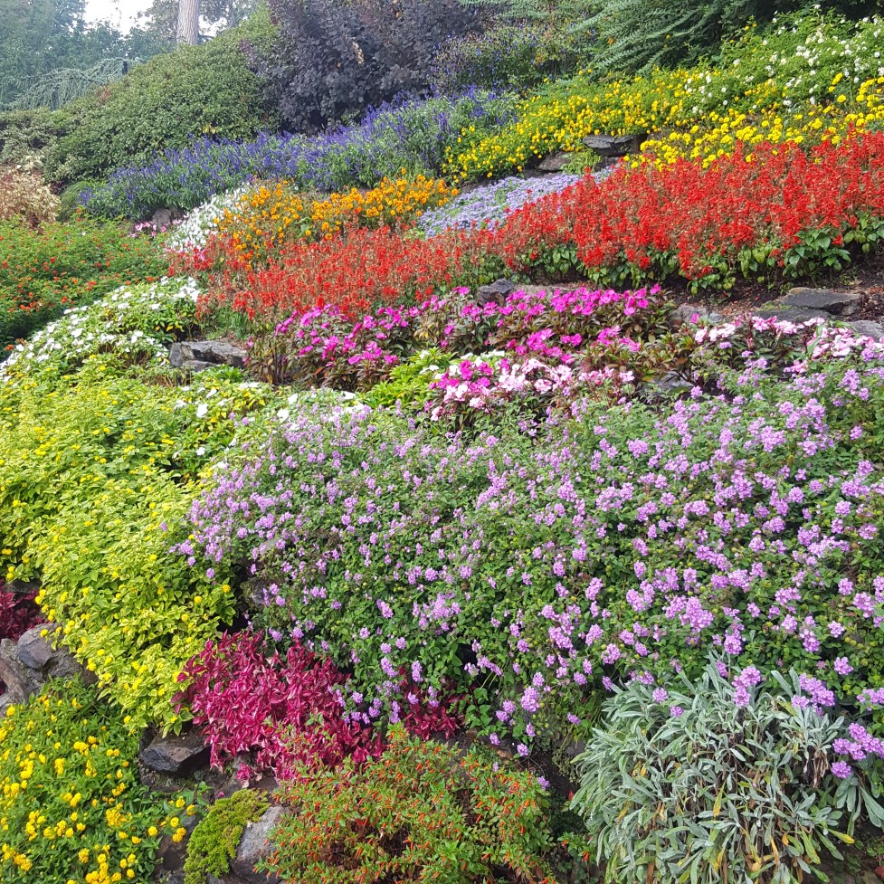 villacarlottaflowersnhym