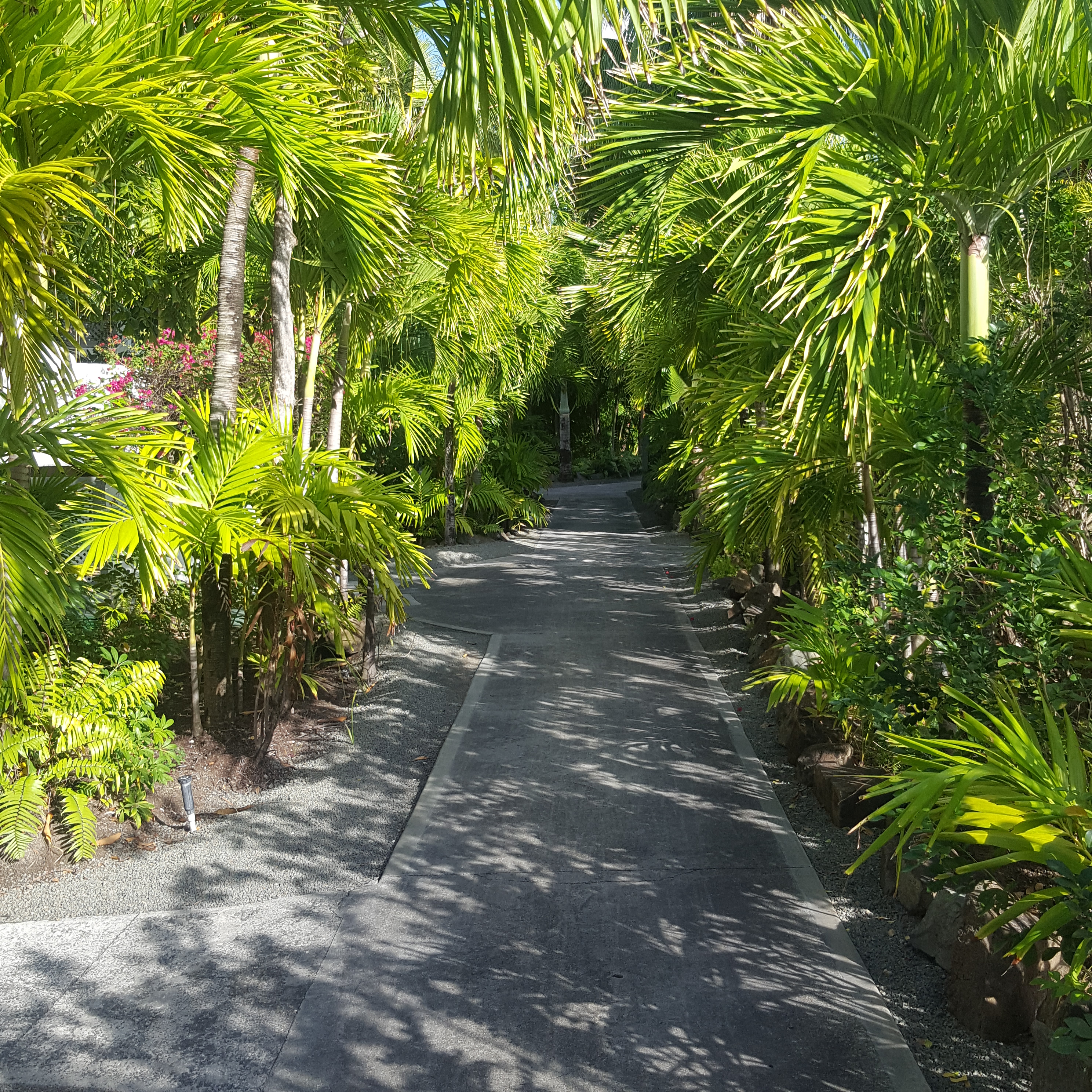 CarlisleBayGroundsNHYM