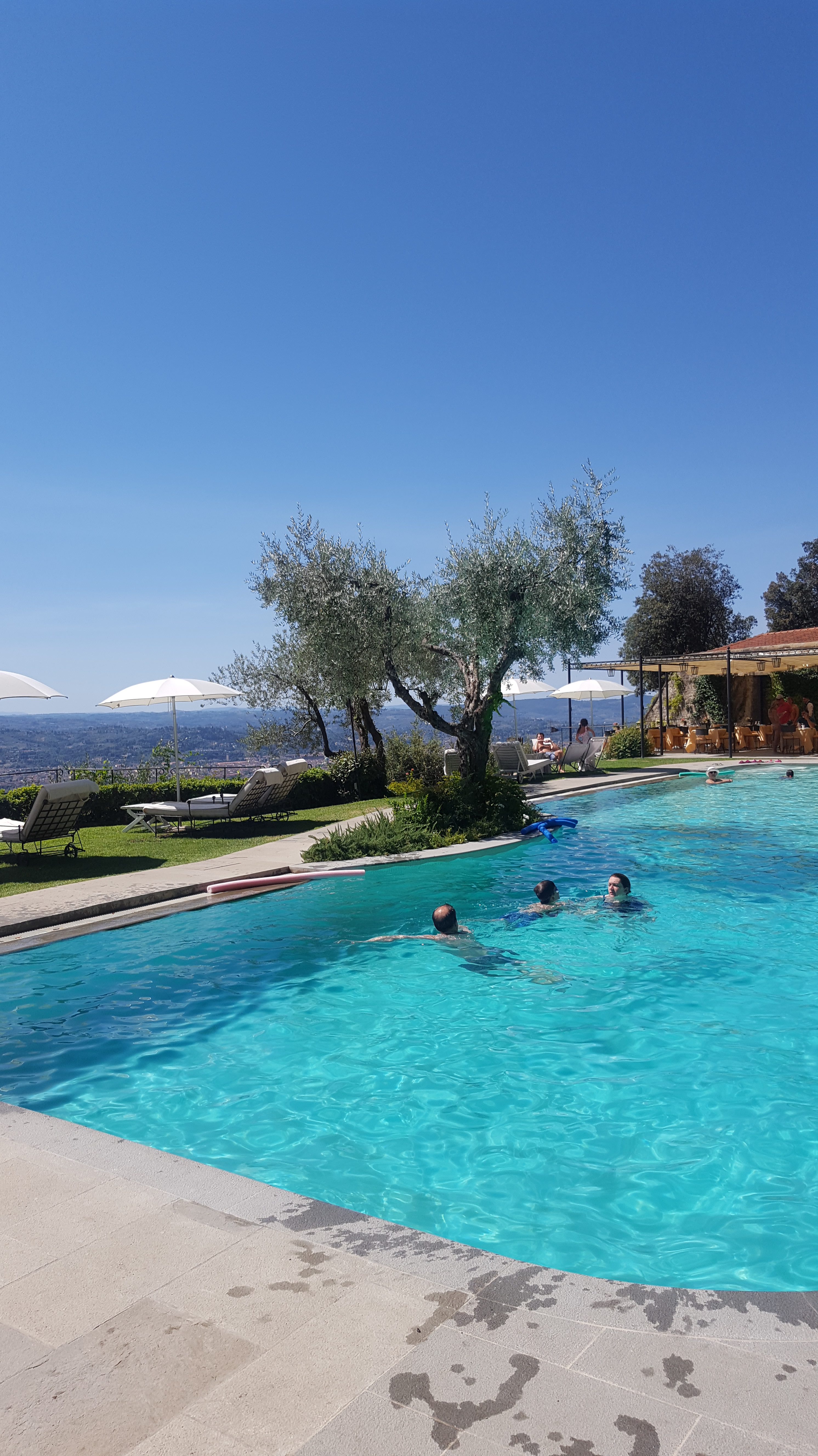 SwimmingPoolVillaSanMicheleNHYM