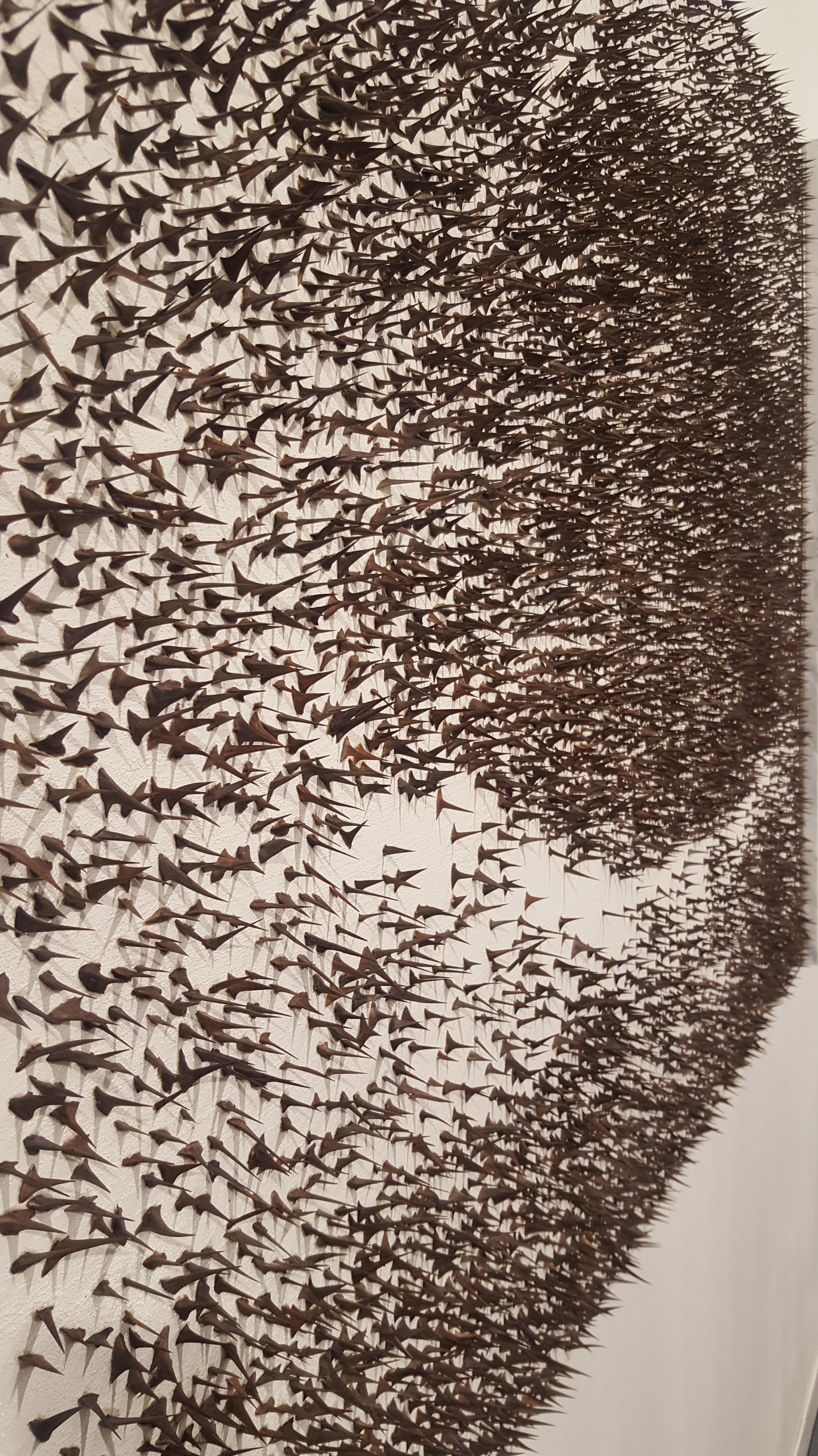 SpikesFrieze2017NHYM