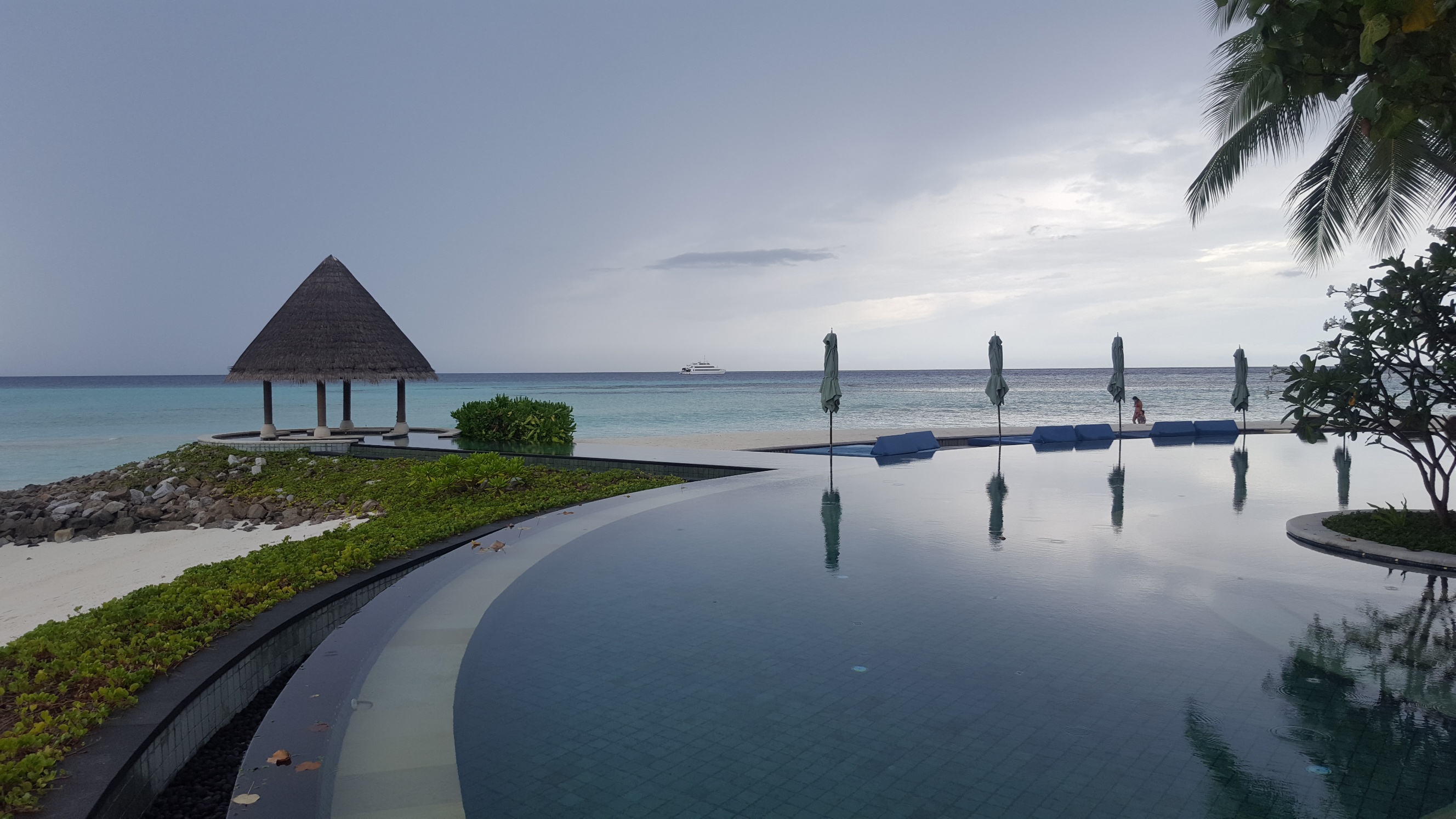 AdultsPoolFourSeasonsNHYM